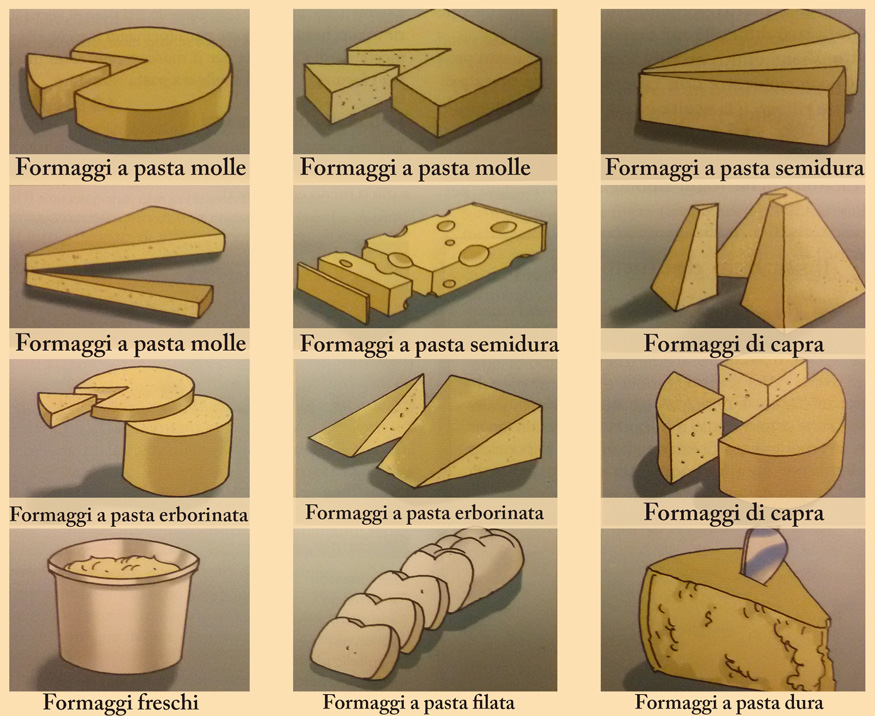 Schema dei formaggi in base alla loro tipologia