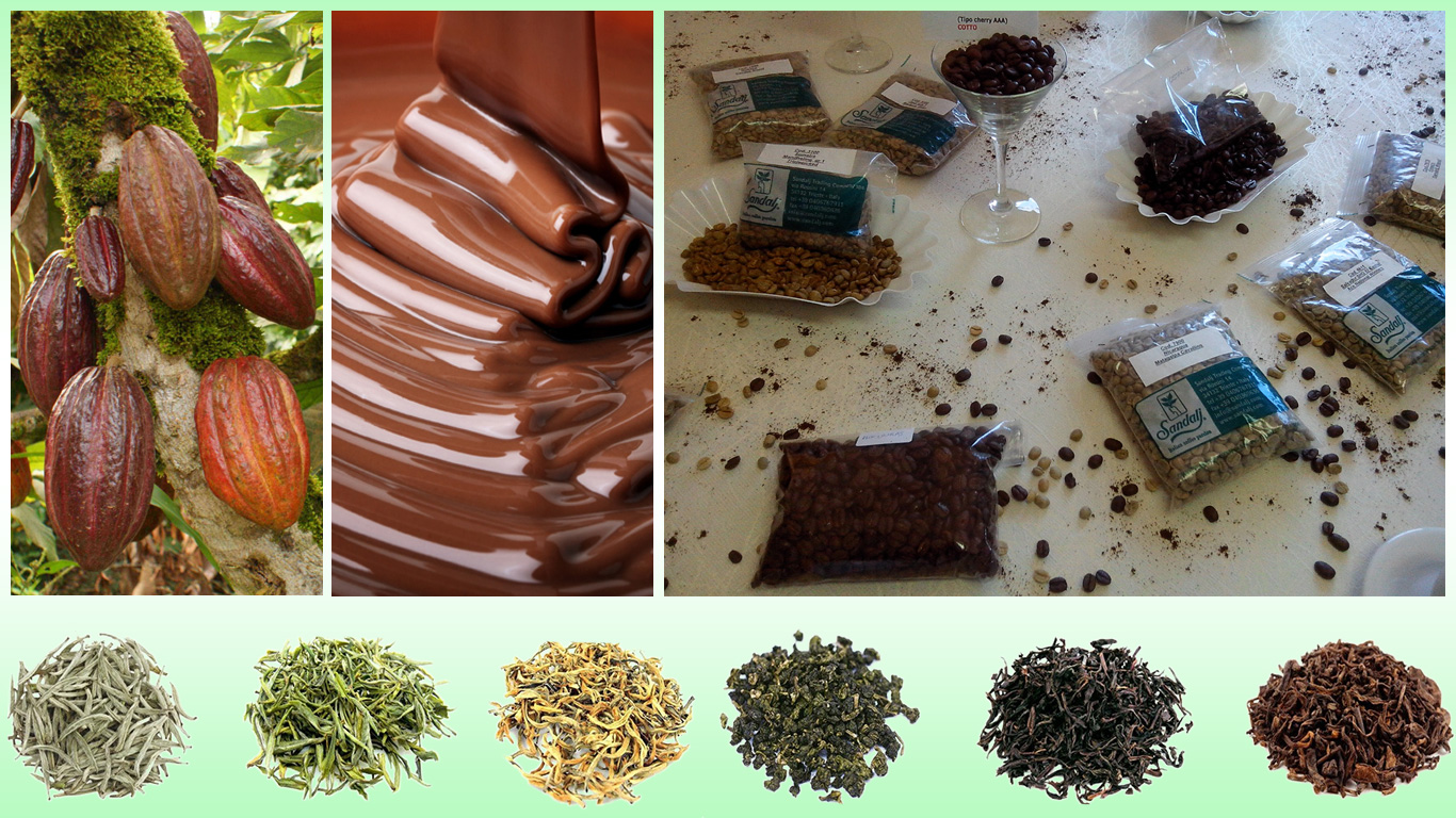 Frutti della pianta di cacao, cioccolata semi di caffè, foglie di tè essiccate